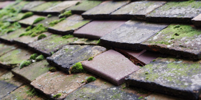 Capel roof repair costs